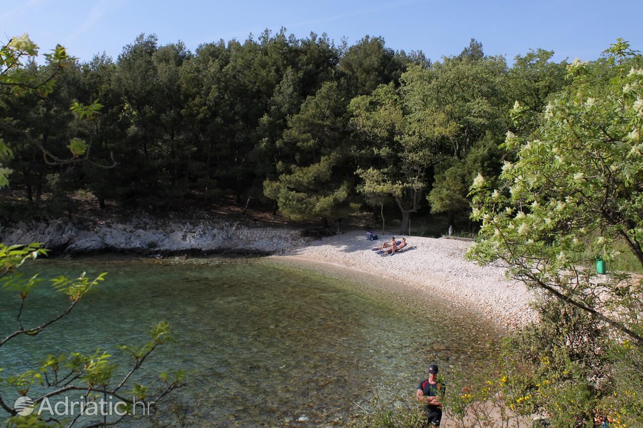 Plaže v bližini - Apartmaji s parkingom Pinezići, Krk