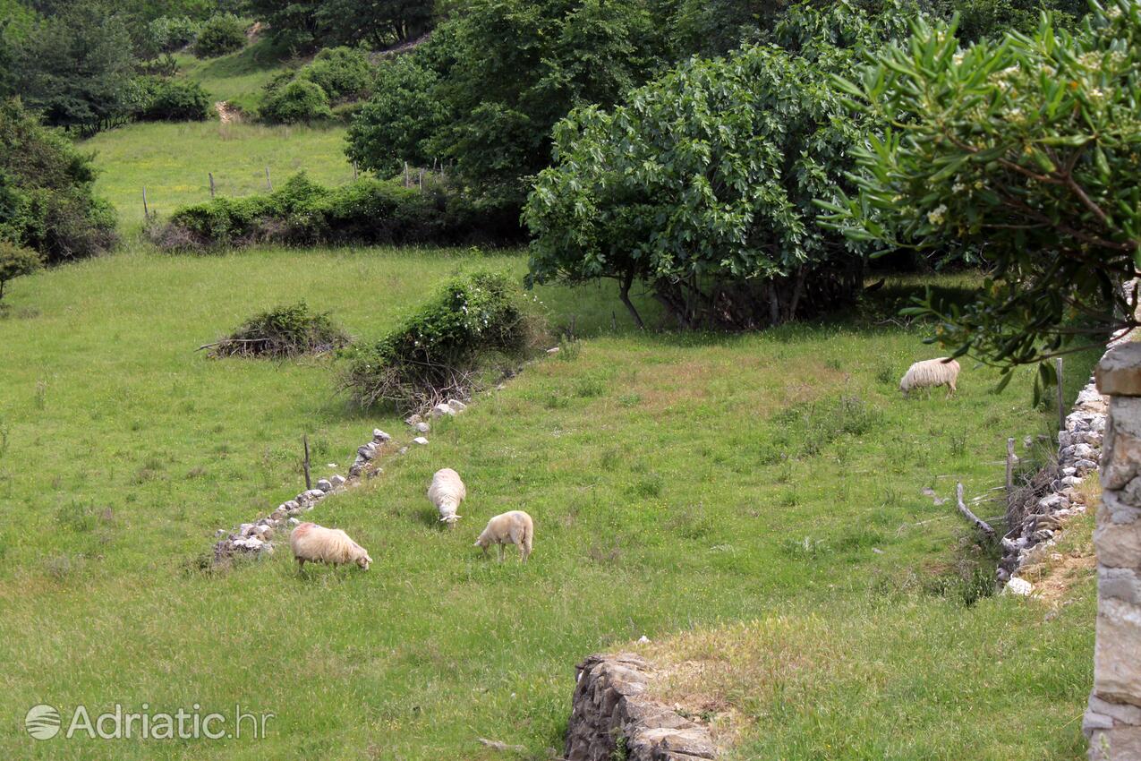 Batomalj op de route Krk (Kvarner)