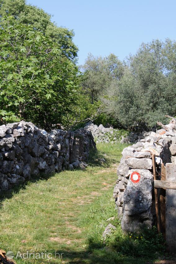 Županje sull'isola Krk (Kvarner)