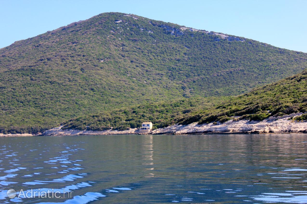 Vinodarska sull'isola Lošinj (Kvarner)