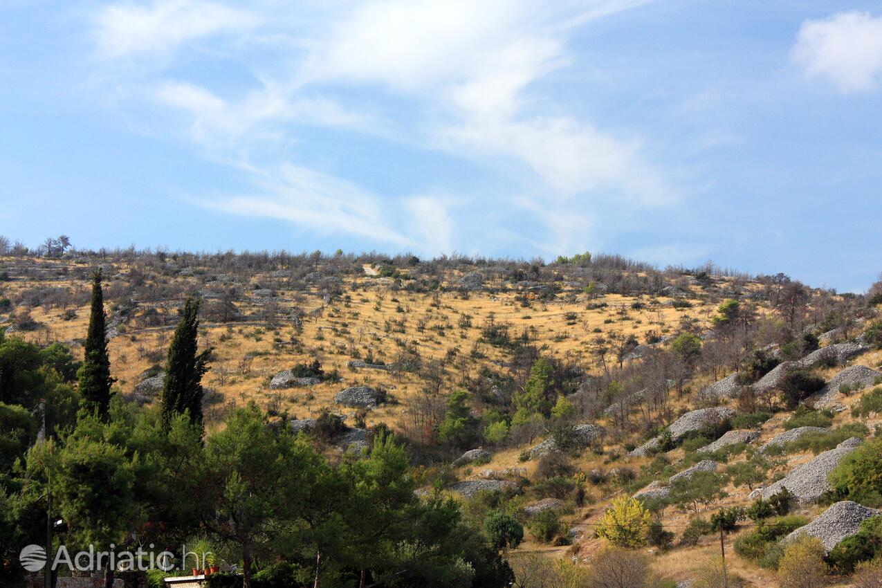 Bobovišća na Moru på otoku Brač (Srednja Dalmacija)