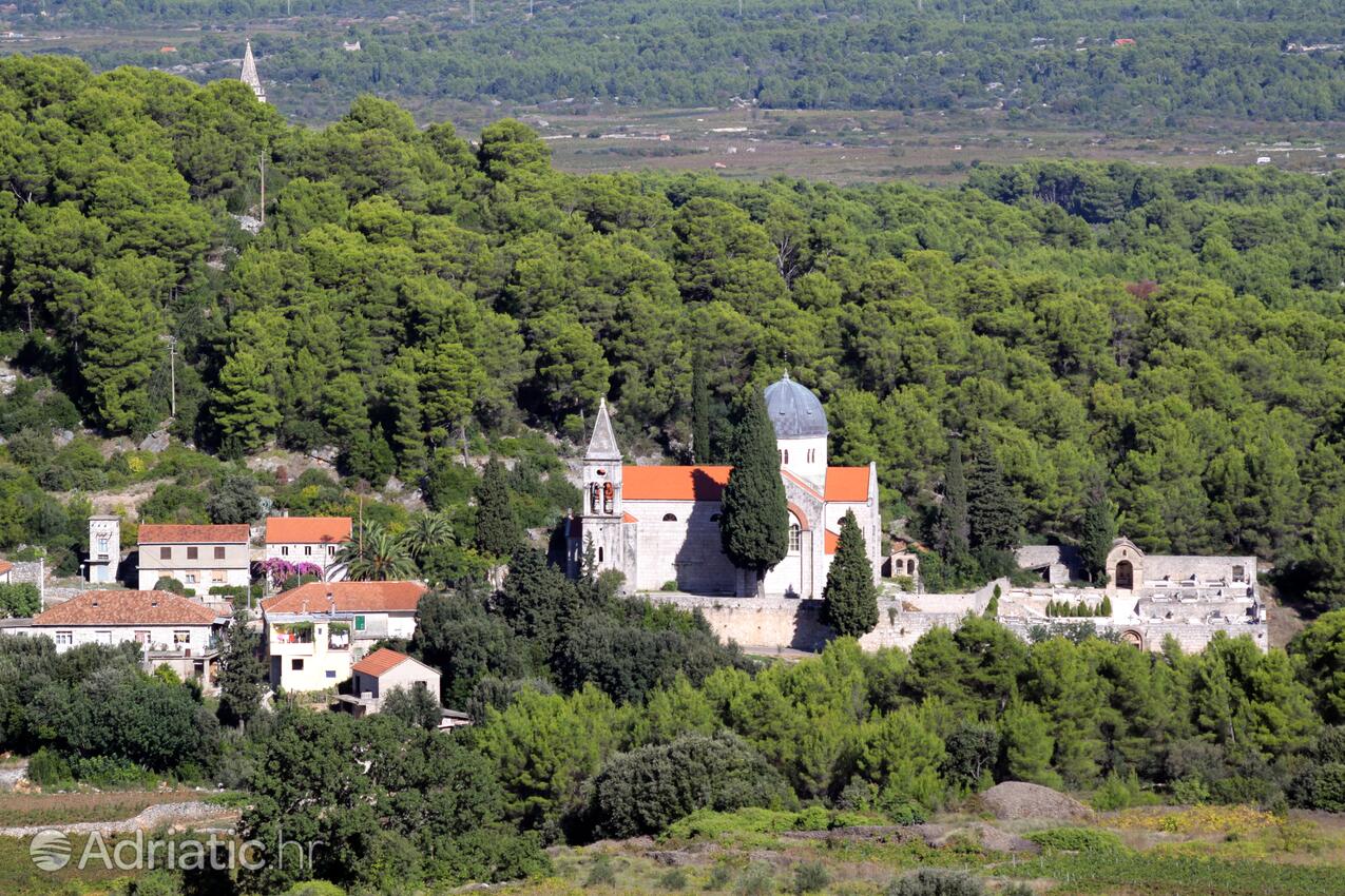 Svirče en la isla Hvar (Srednja Dalmacija)