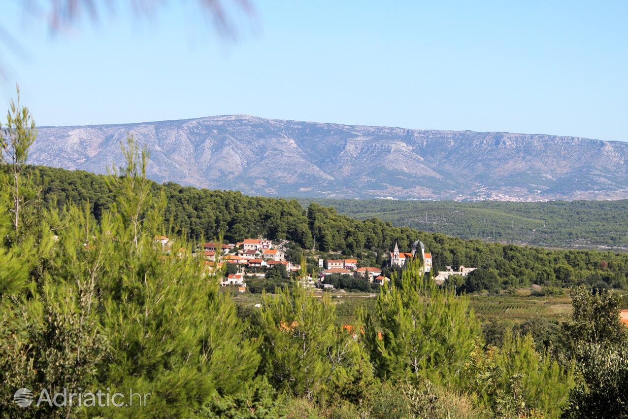 Svirče en la isla Hvar (Srednja Dalmacija)