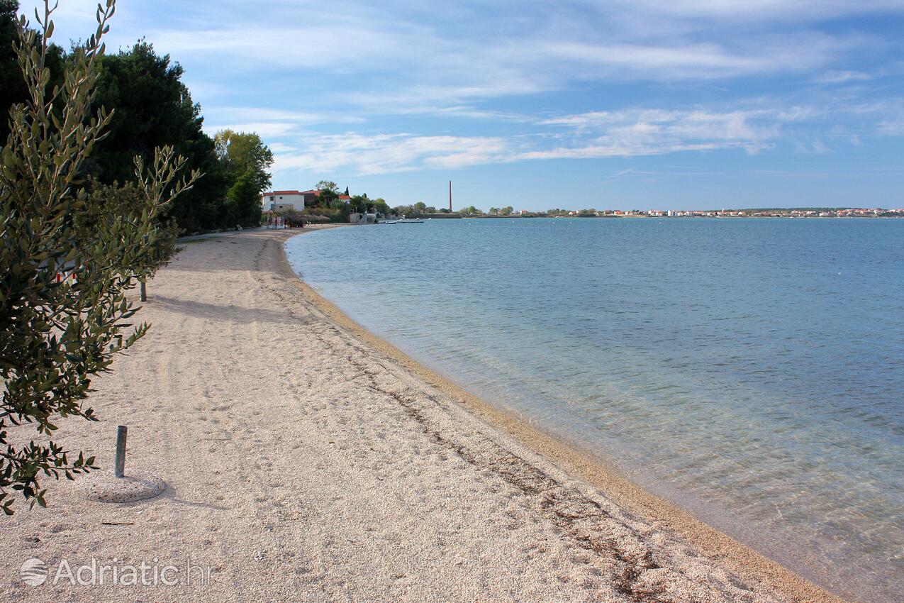 Найближчі пляжі - Апартаменти з паркуванням Врсі - Vrsi, Задар - Zadar