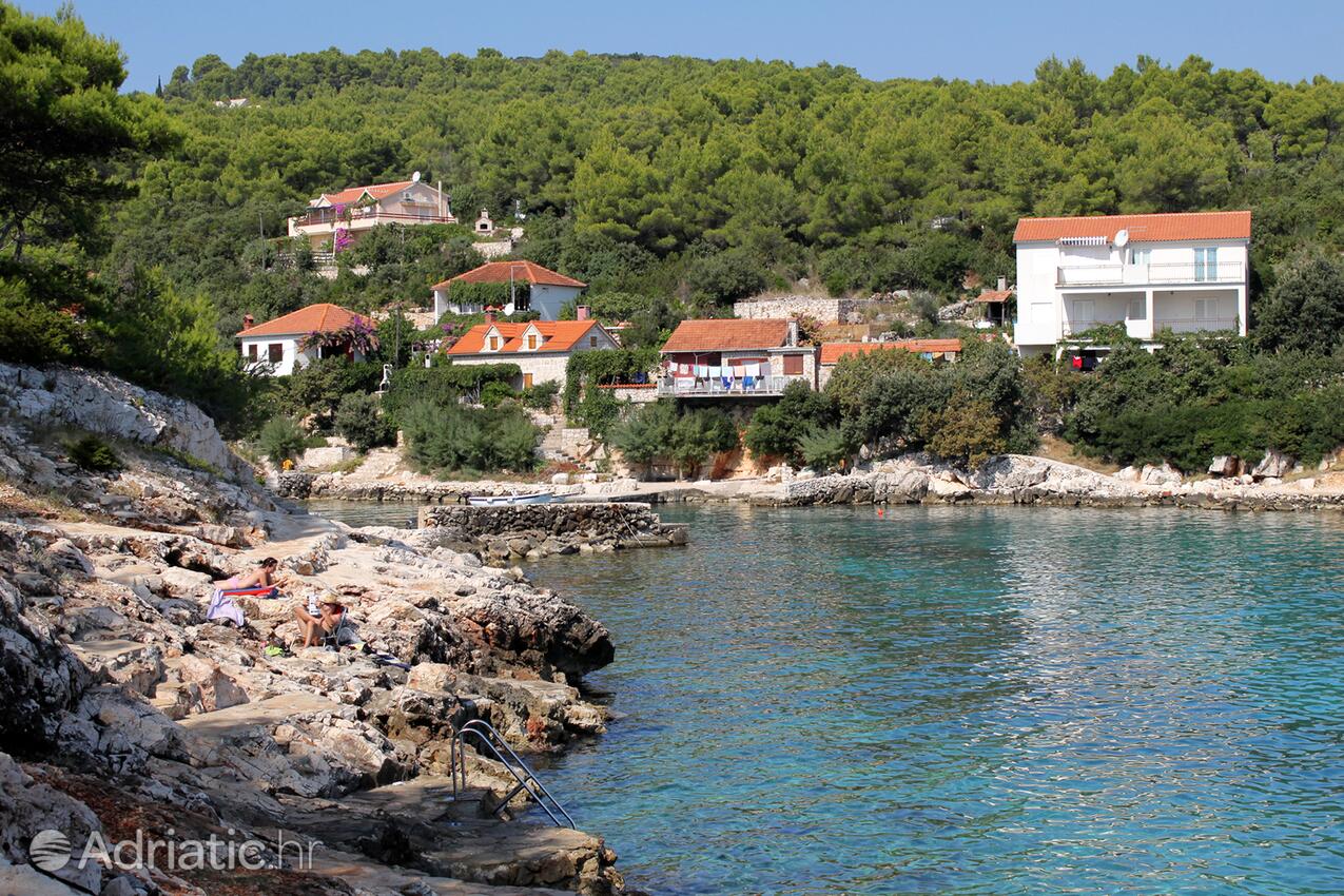 Mudri Dolac en la isla Hvar (Srednja Dalmacija)