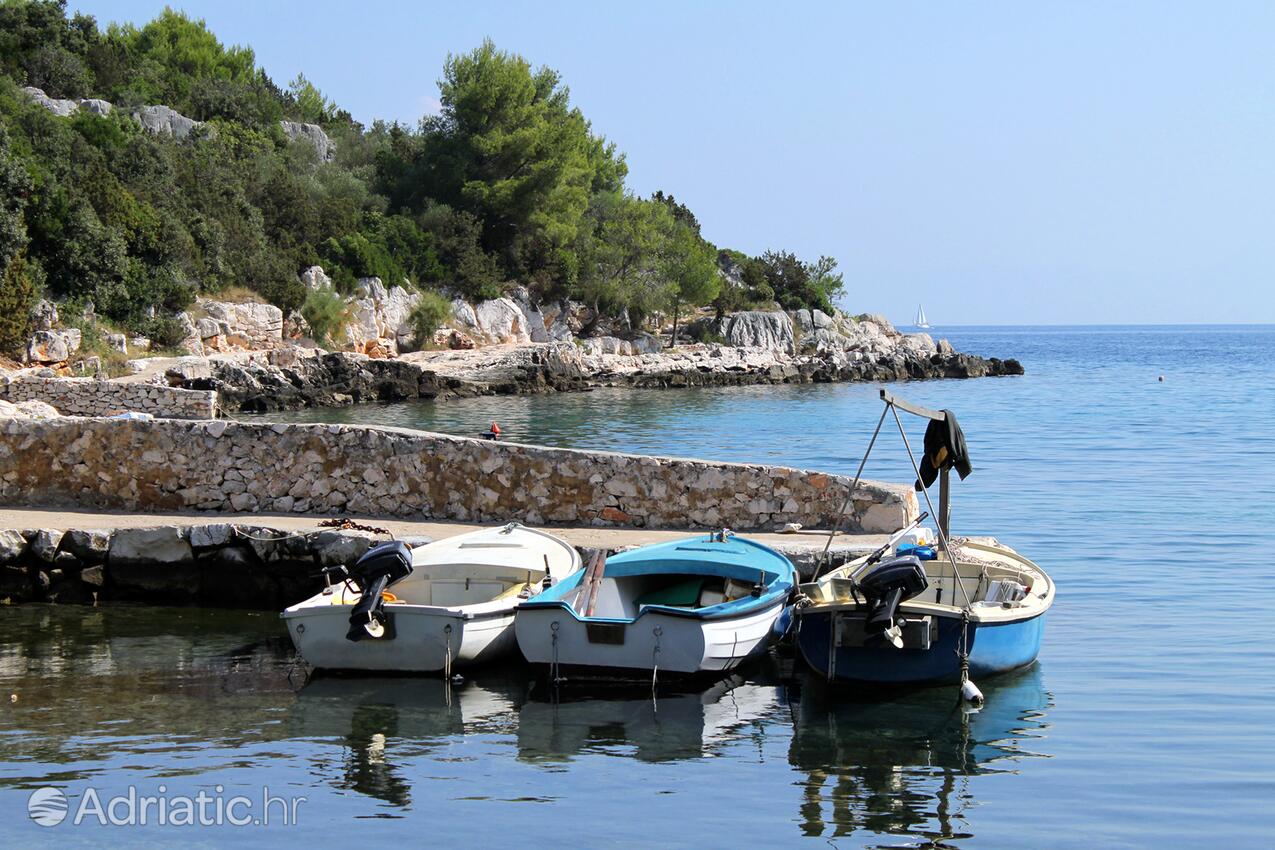 Mudri Dolac en la isla Hvar (Srednja Dalmacija)