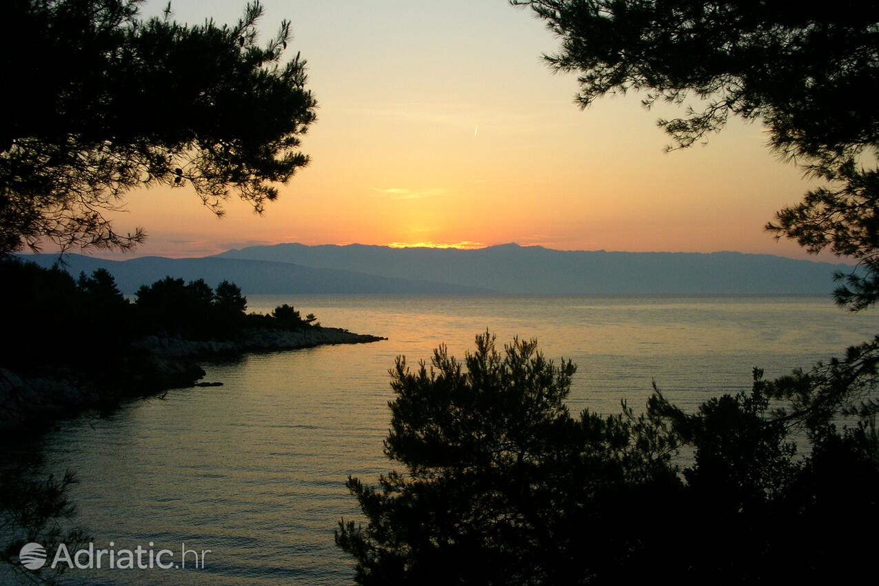 Mudri Dolac en la isla Hvar (Srednja Dalmacija)