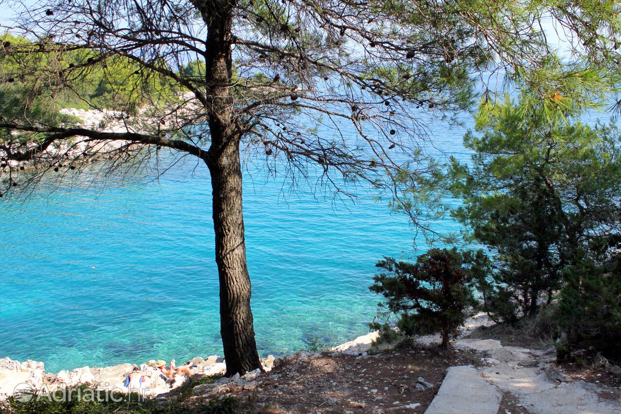 Mudri Dolac en la isla Hvar (Srednja Dalmacija)