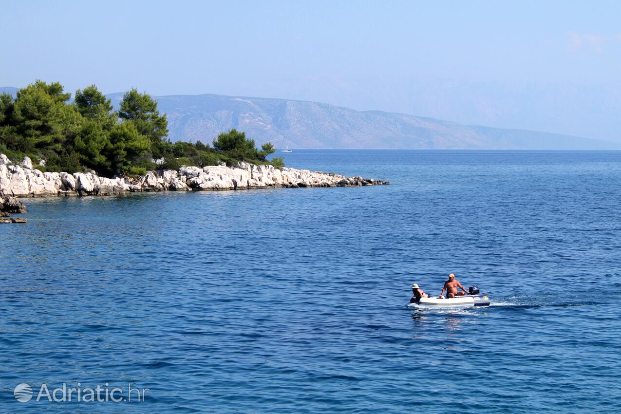 Mudri Dolac na otoku Hvar (Srednja Dalmacija)