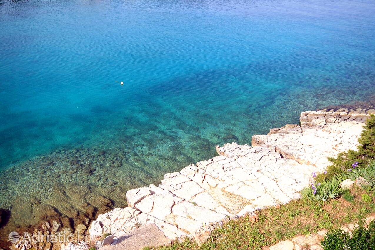 Nearby beaches - Apartments with a parking space Mudri Dolac, Hvar