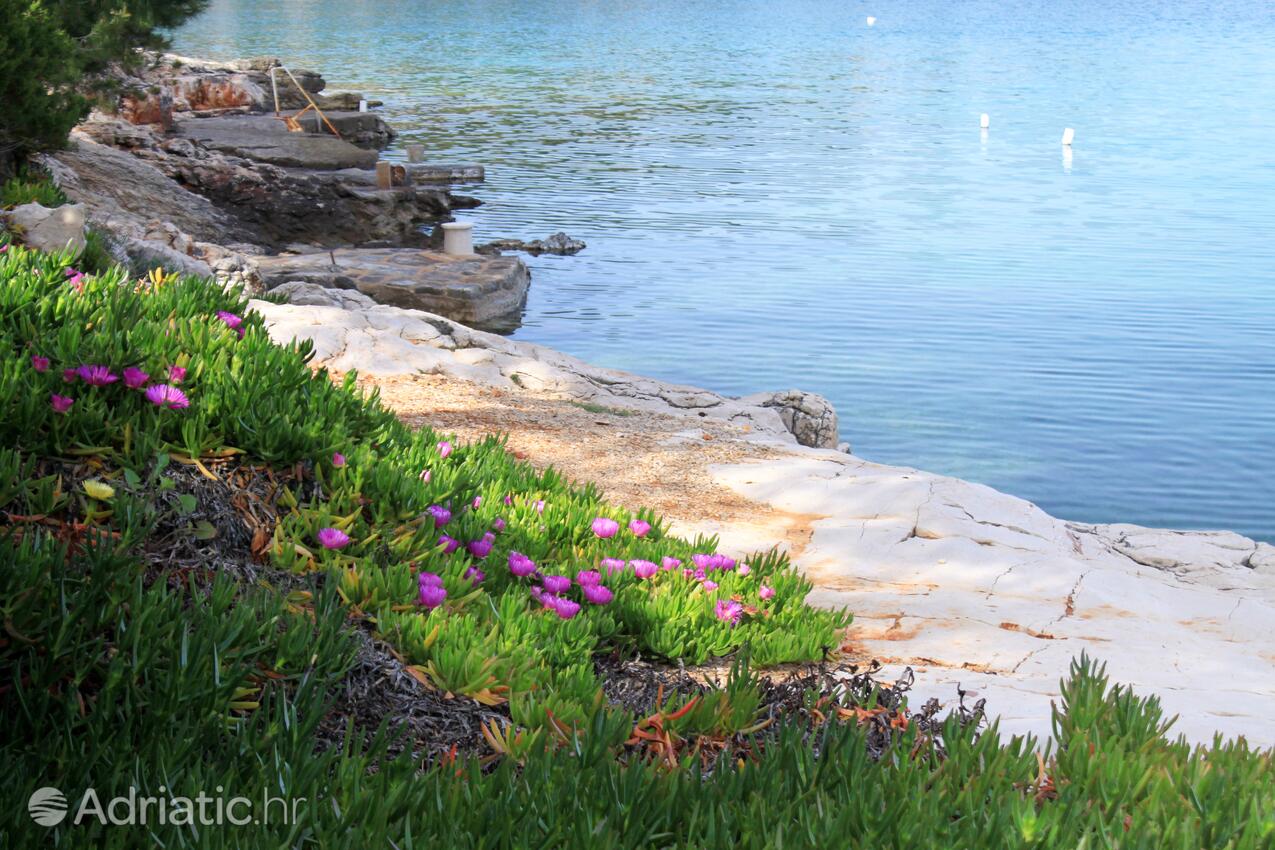 Nearby beaches - Apartments with a parking space Mudri Dolac, Hvar