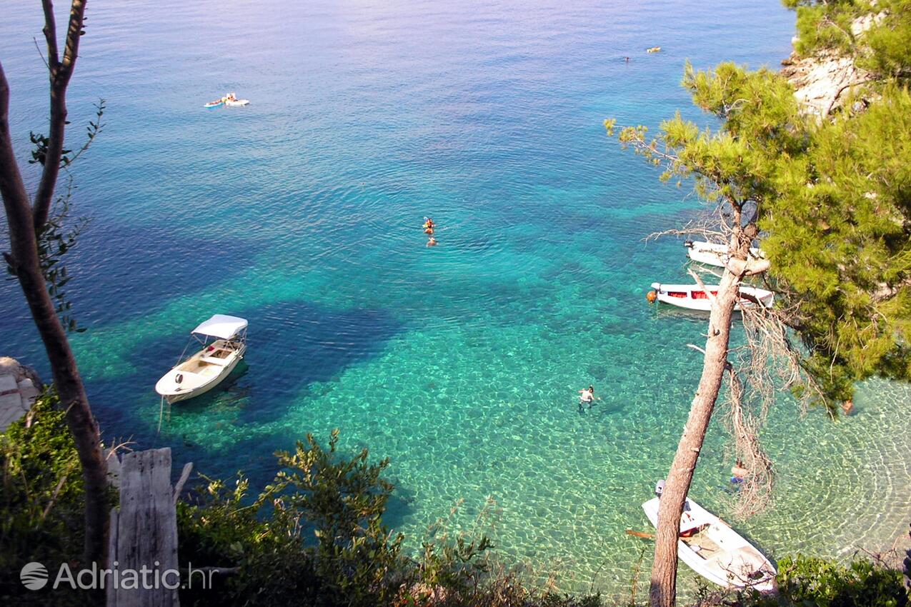 Pobij en la isla Hvar (Srednja Dalmacija)