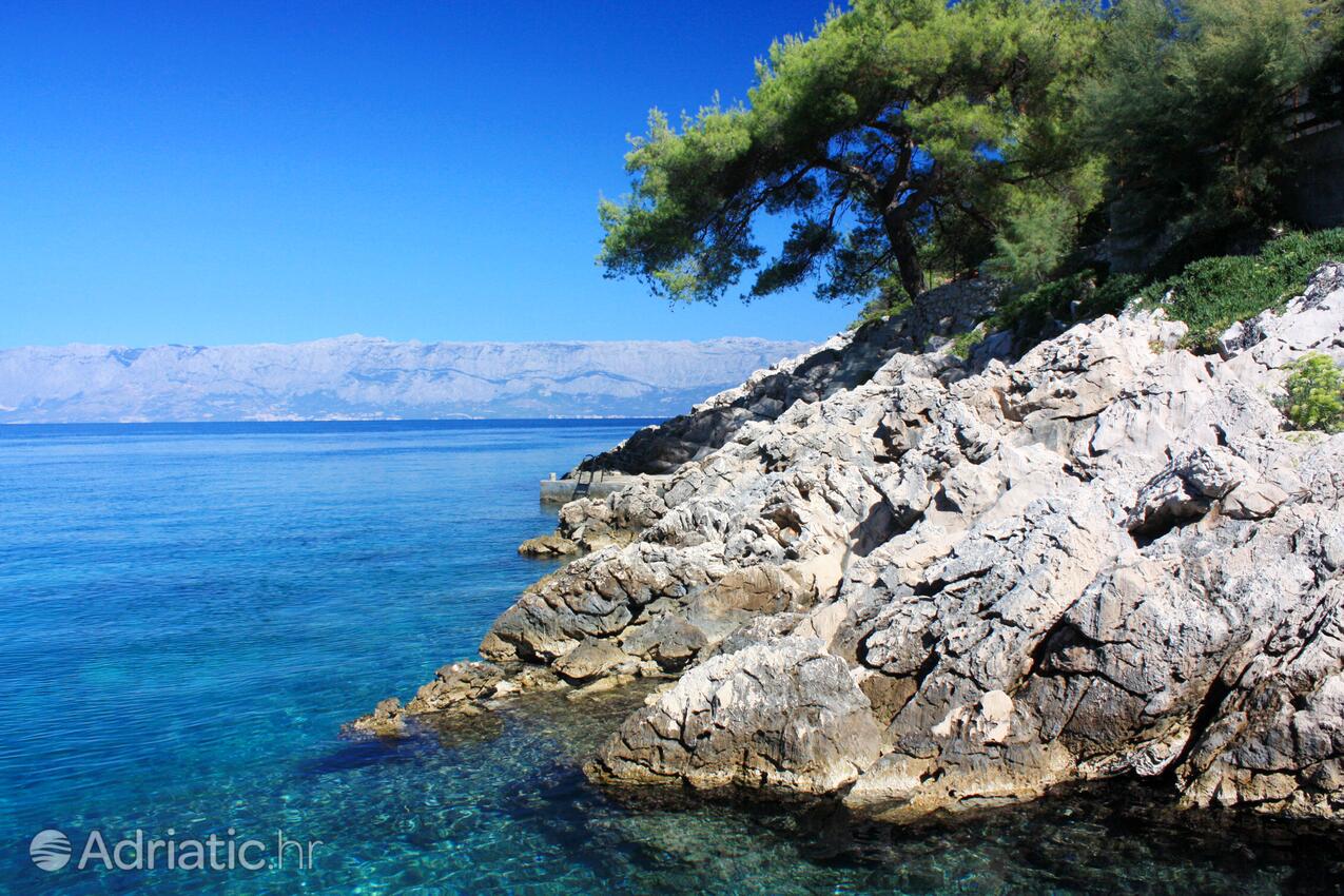 Pobij en la isla Hvar (Srednja Dalmacija)