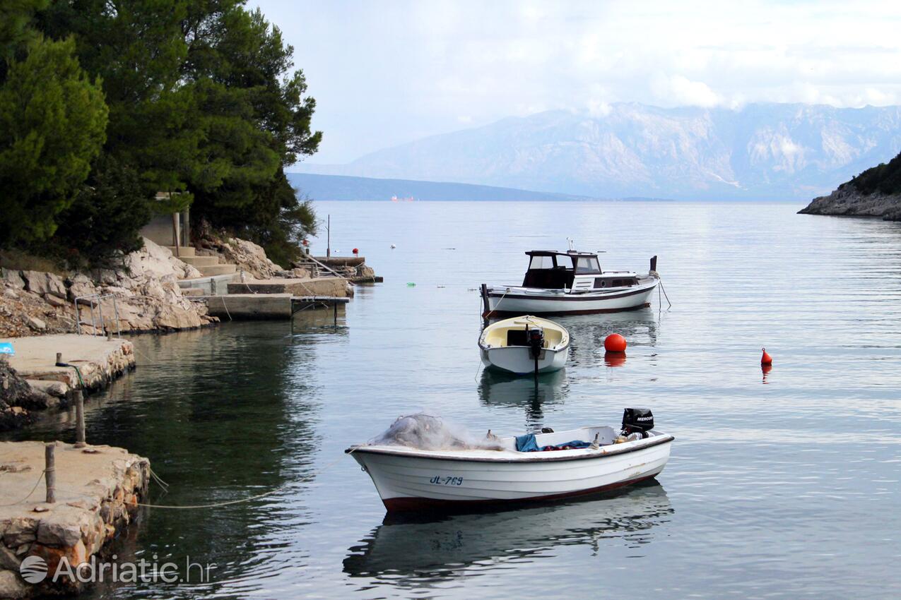 Prapatna en la isla Hvar (Srednja Dalmacija)