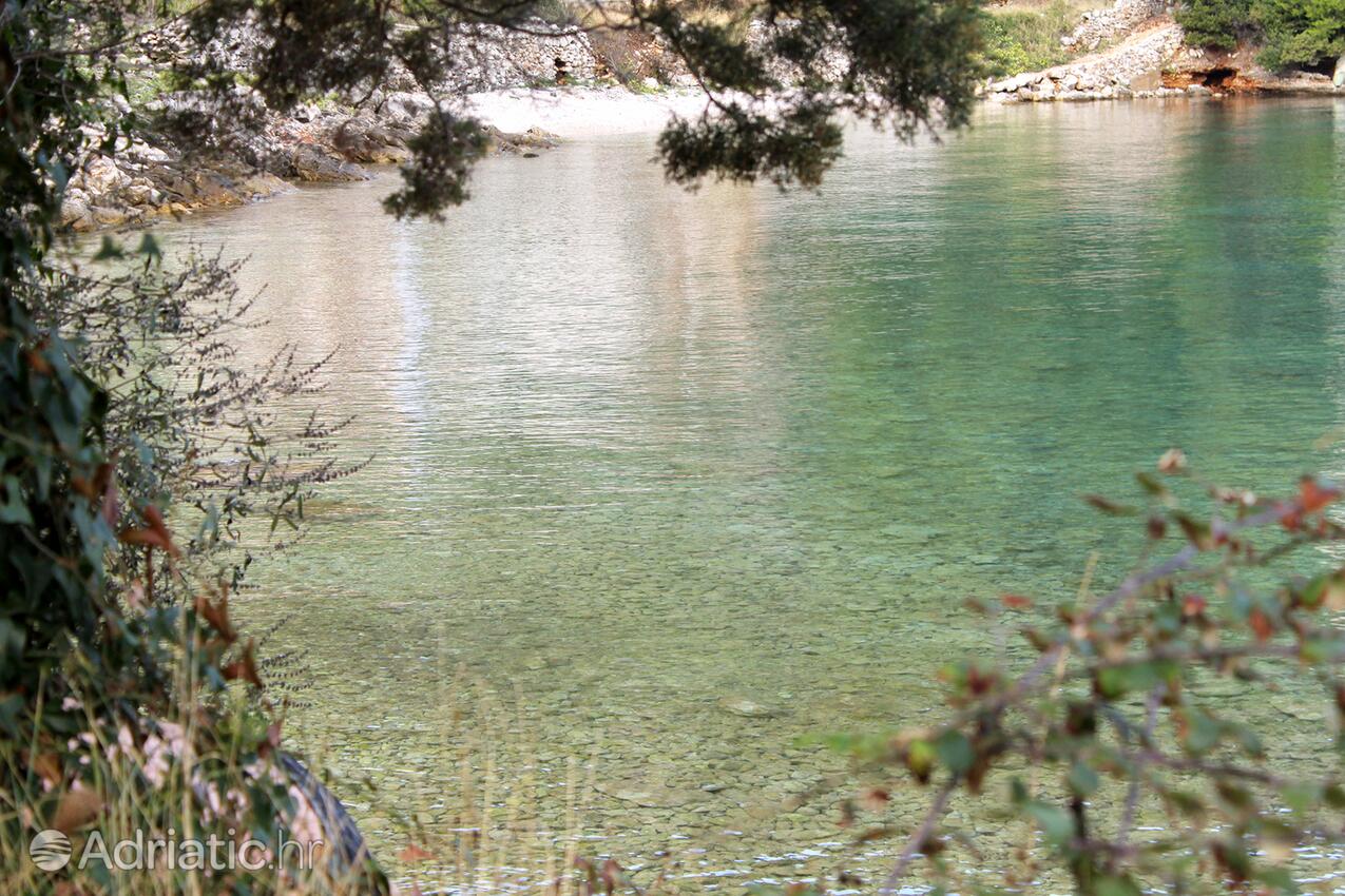 Prapatna auf der Insel  Hvar (Srednja Dalmacija)