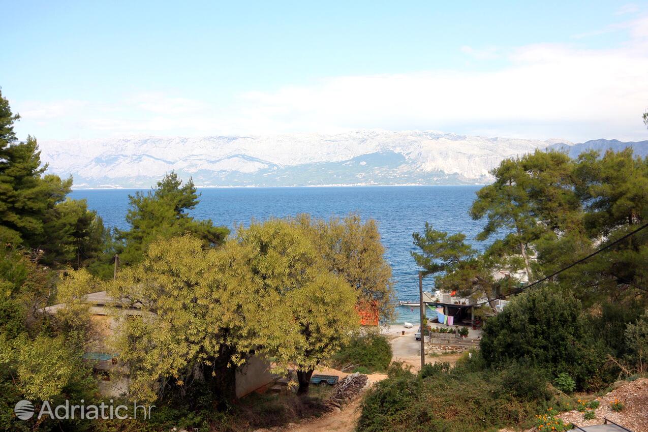 Bristova na wyspie Hvar (Srednja Dalmacija)