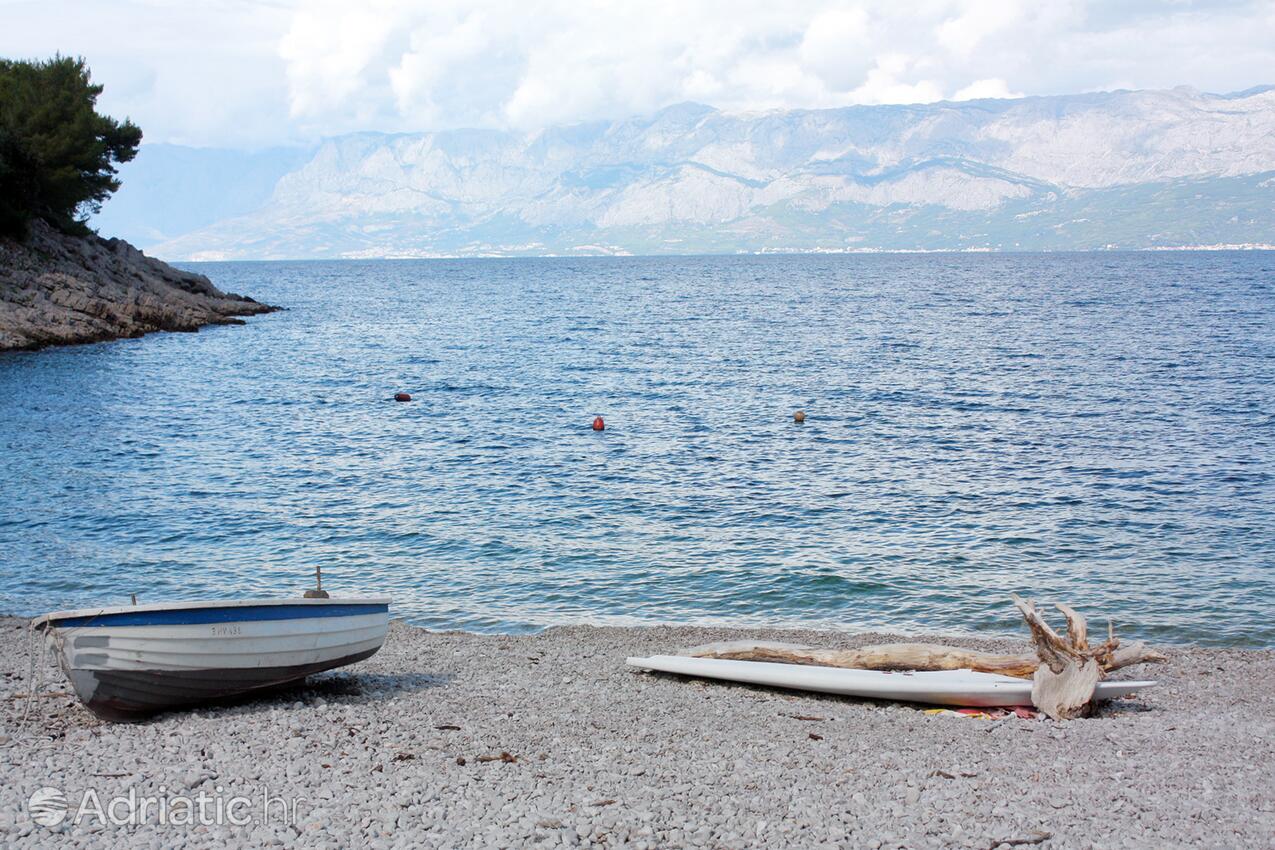 Bristova na wyspie Hvar (Srednja Dalmacija)