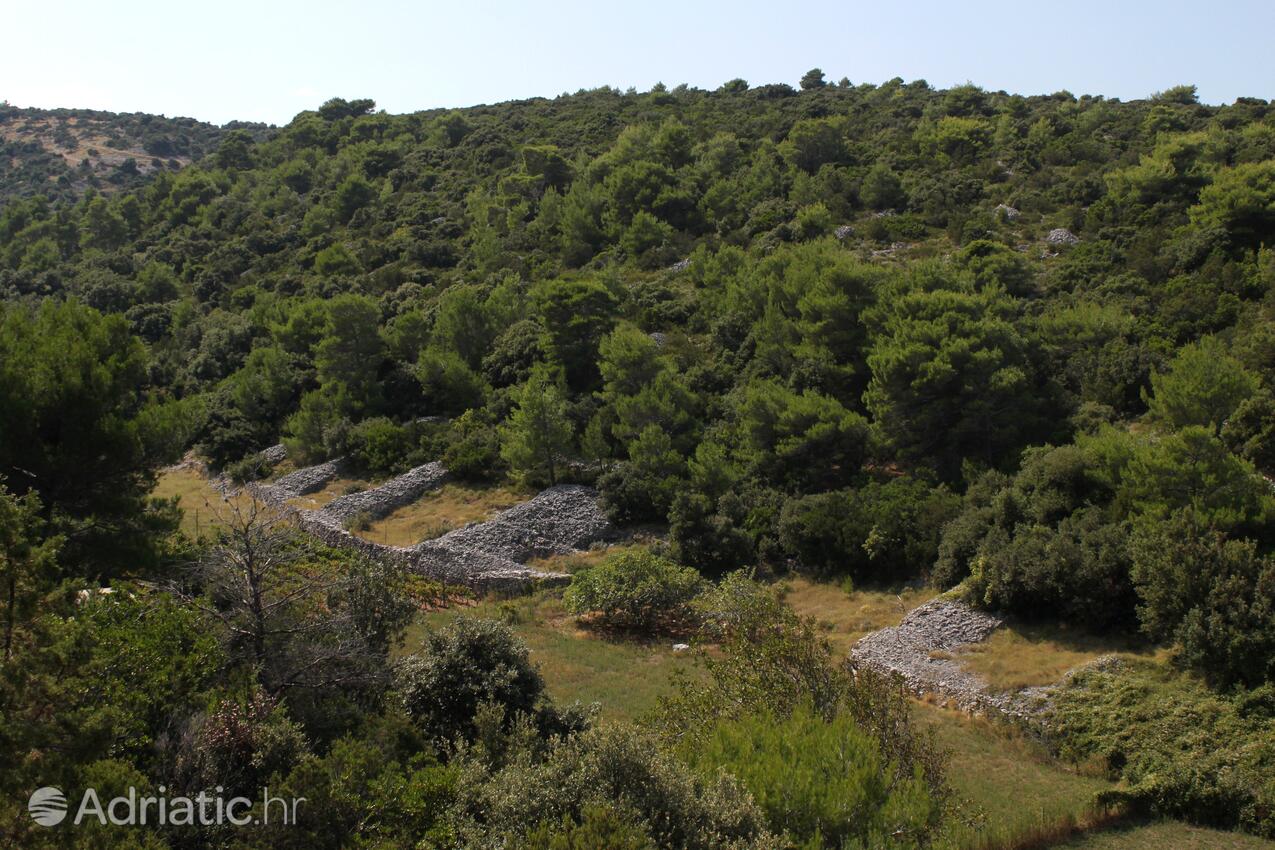 Prapatna Brač szigeten (Srednja Dalmacija)