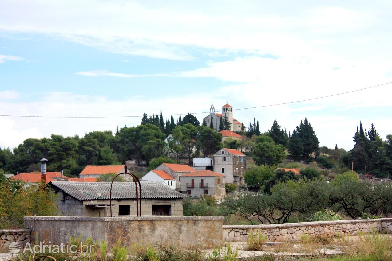 Zastražišće Hvar szigeten (Srednja Dalmacija)