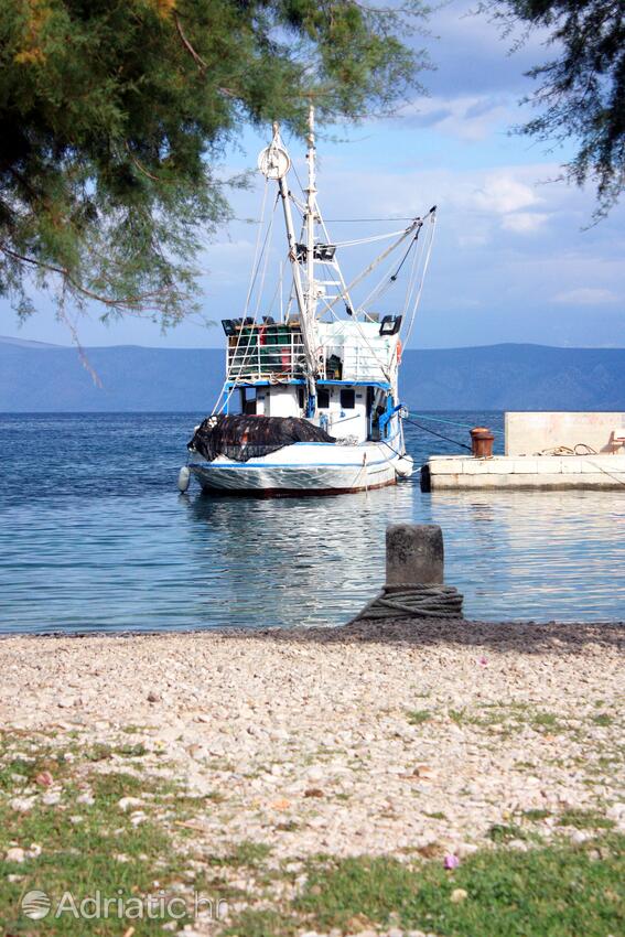 Vela Stiniva en la isla Hvar (Srednja Dalmacija)