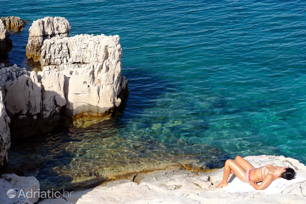 Nearby beaches - Apartments by the sea Cove Vela Stiniva, Hvar