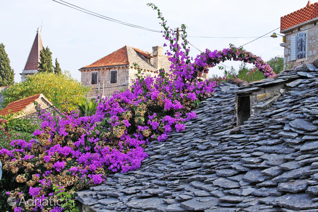 Bobovišća na otoku Brač (Srednja Dalmacija)