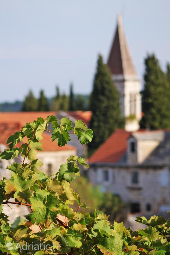 Bobovišća na otoku Brač (Srednja Dalmacija)