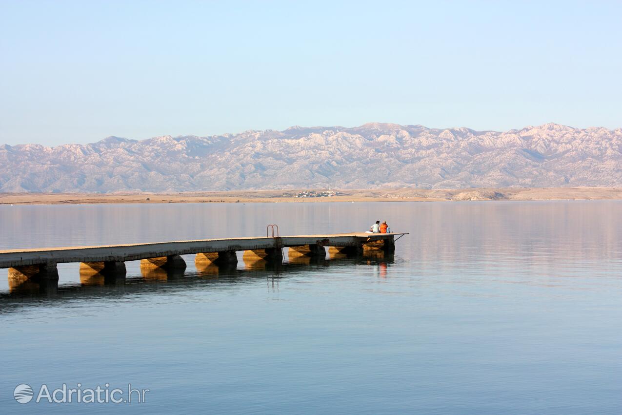 Sabunike sulla riviera Zadar (Sjeverna Dalmacija)