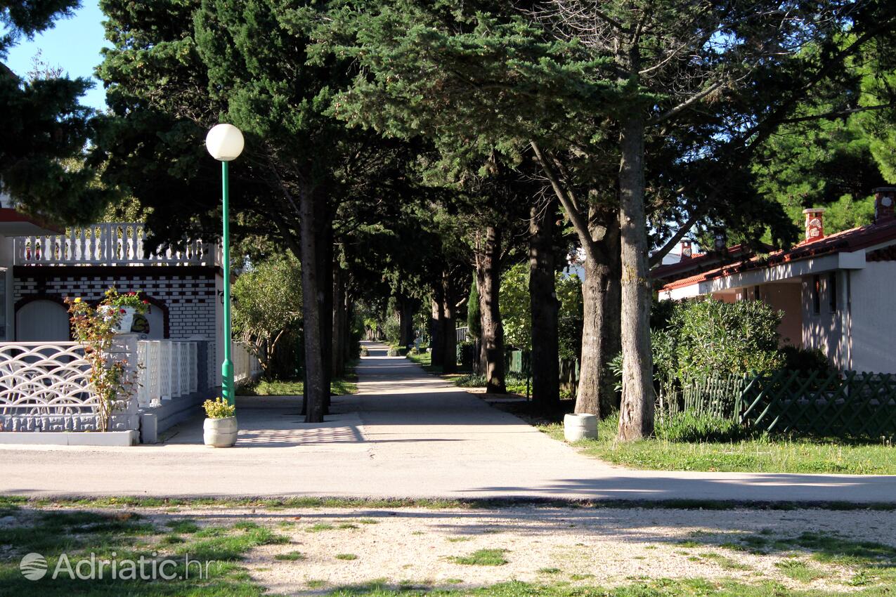 Sabunike sulla riviera Zadar (Sjeverna Dalmacija)