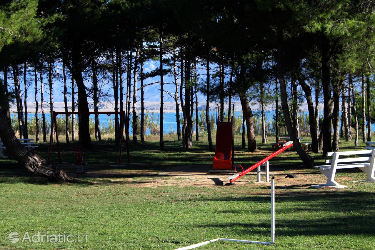 Sabunike sulla riviera Zadar (Sjeverna Dalmacija)