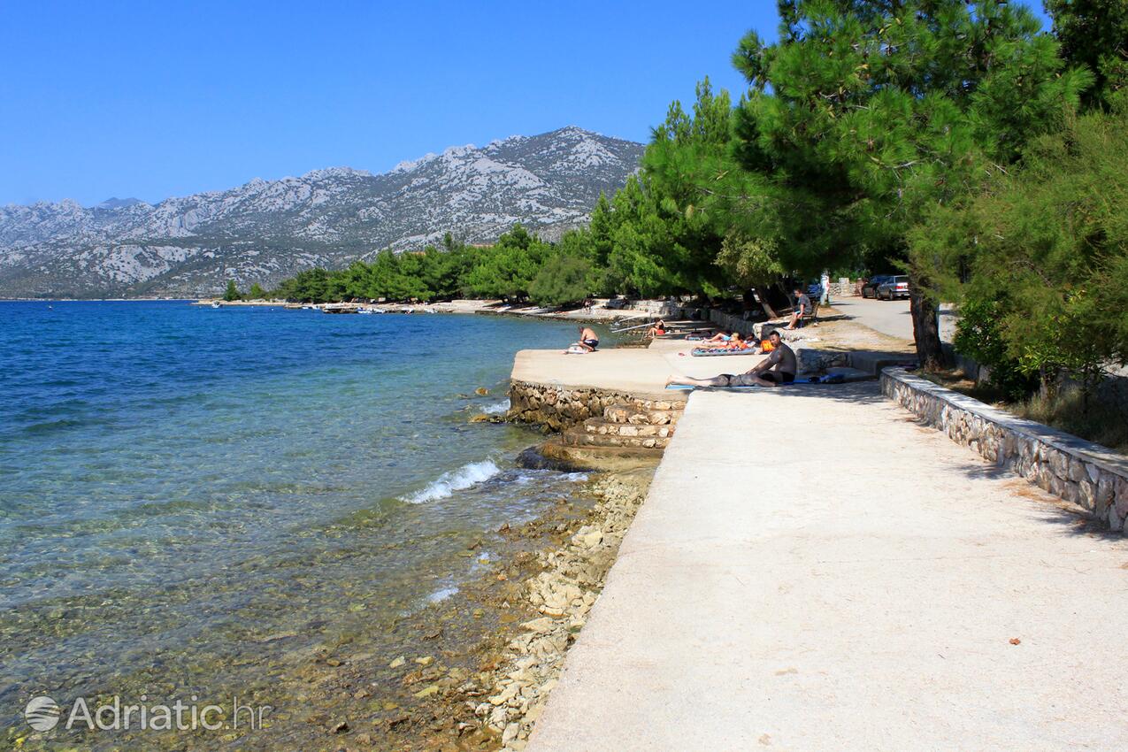 Nearby beaches - Apartments and rooms by the sea Rovanjska, Paklenica