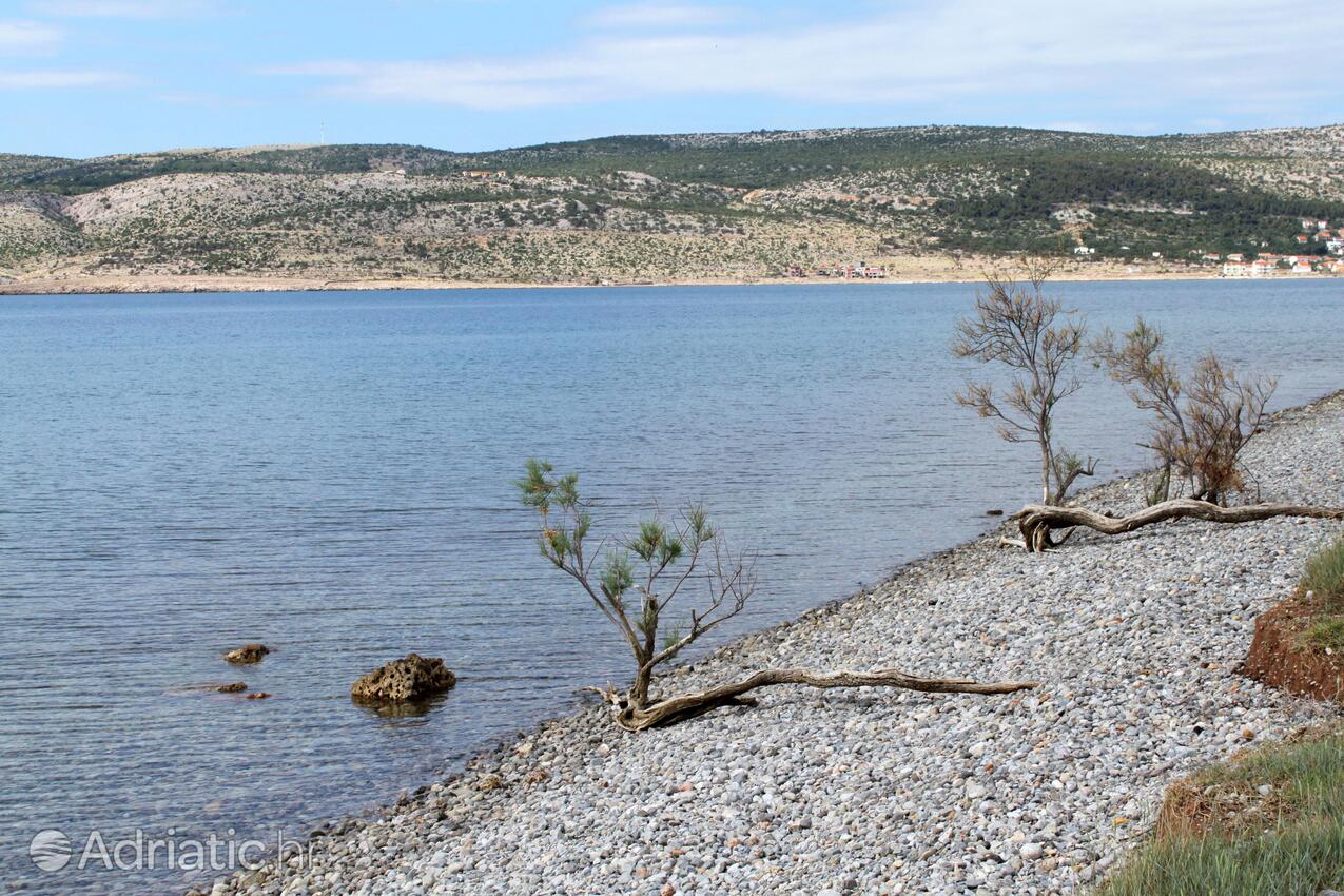 Nearby beaches - Apartments by the sea Seline, Paklenica