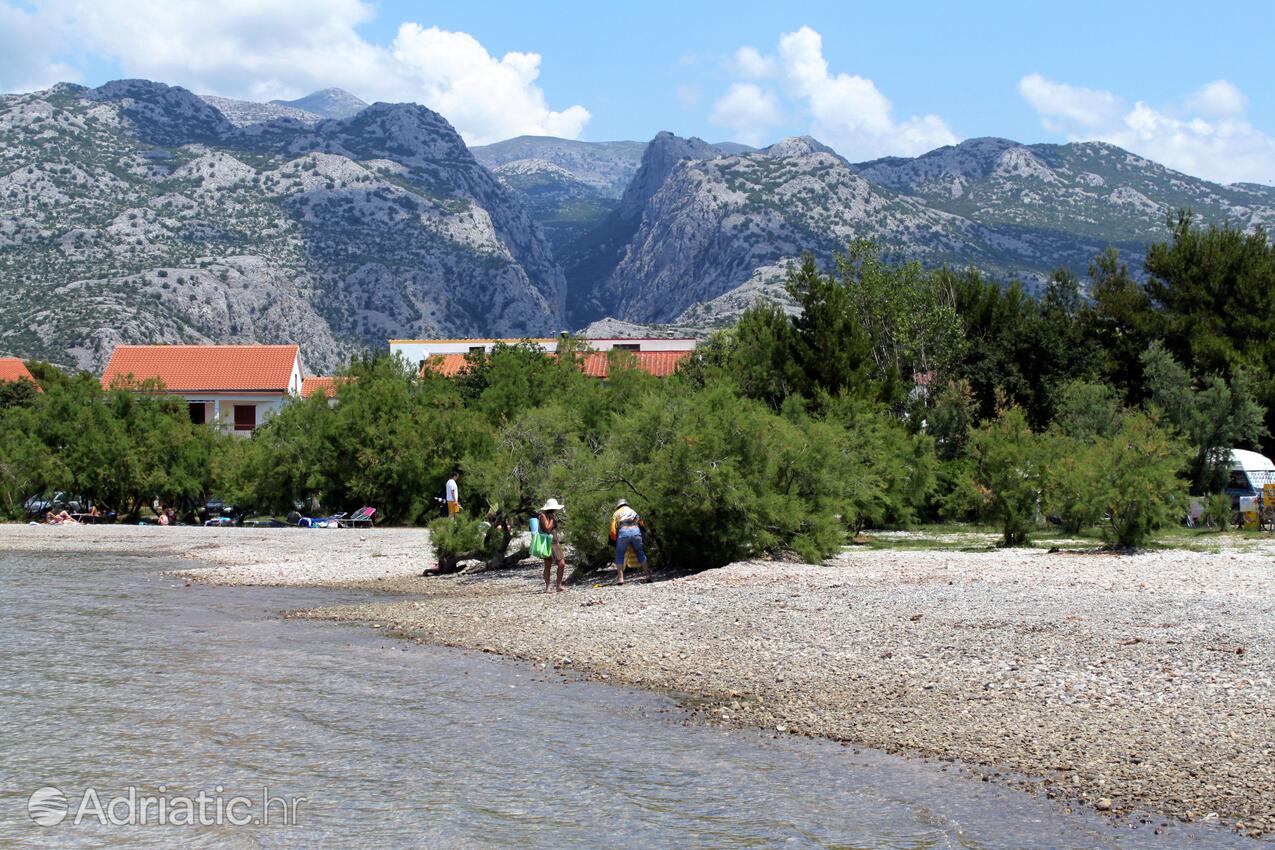 Nearby beaches - Apartments by the sea Seline, Paklenica