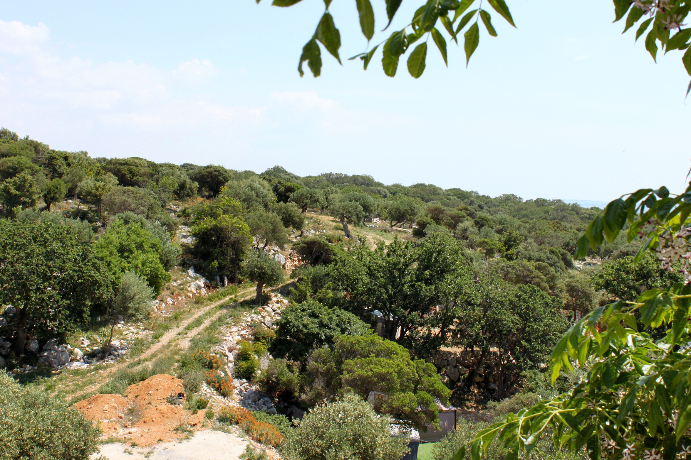 Where to stay in Dražica