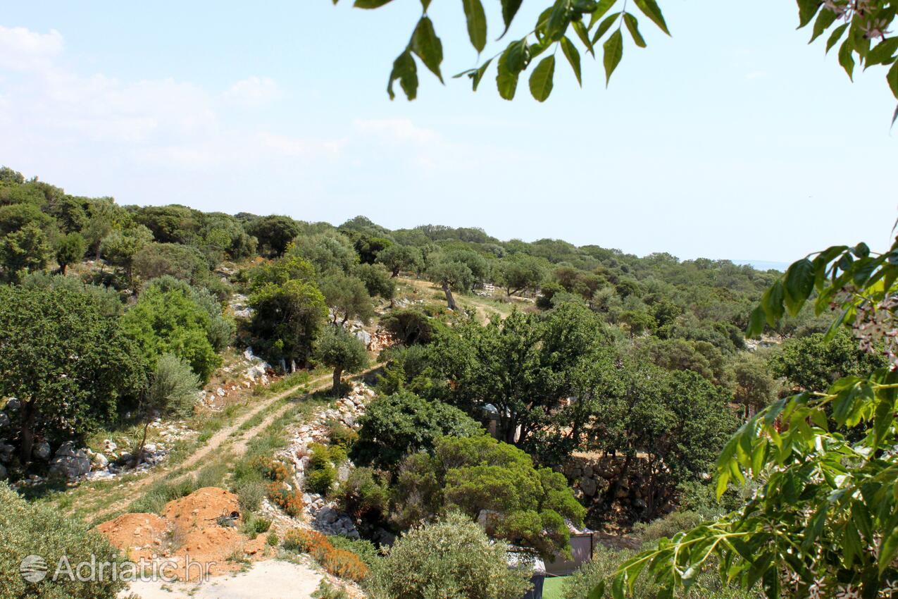 Dražica sur l’île Pag (Kvarner)