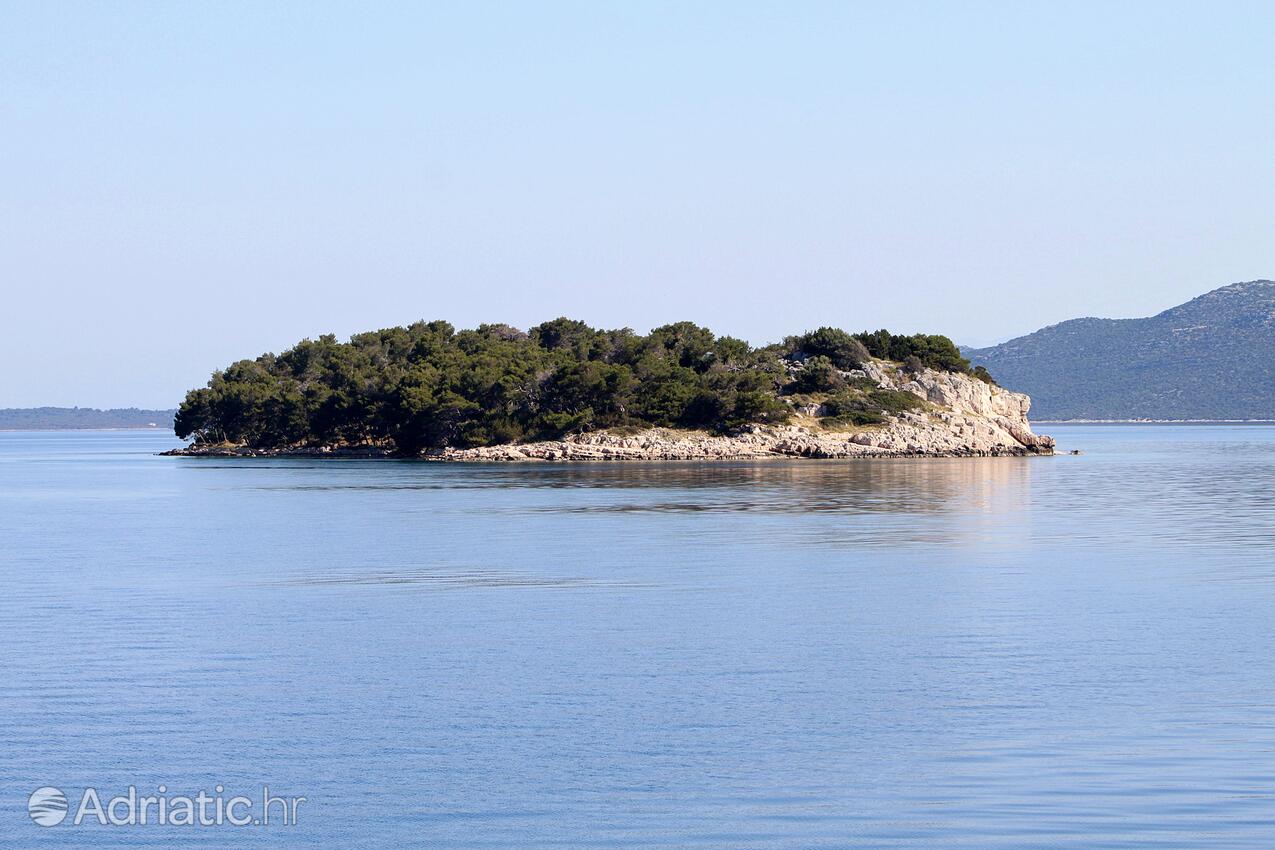 Veli Iž na otoku Iž (Sjeverna Dalmacija)