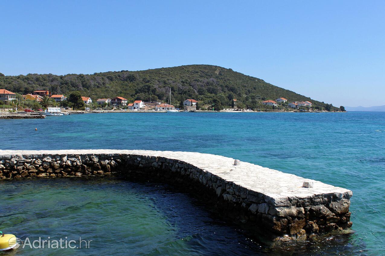 Brgulje auf der Insel  Molat (Sjeverna Dalmacija)