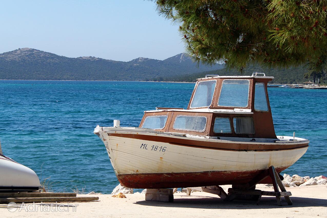Brgulje auf der Insel  Molat (Sjeverna Dalmacija)