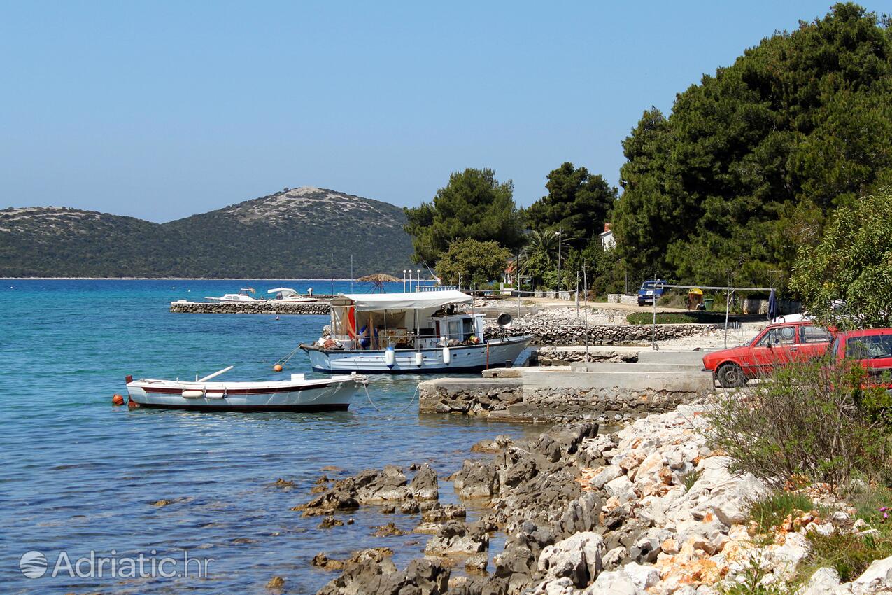 Brgulje auf der Insel  Molat (Sjeverna Dalmacija)