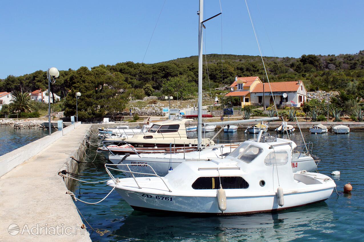 Brgulje auf der Insel  Molat (Sjeverna Dalmacija)