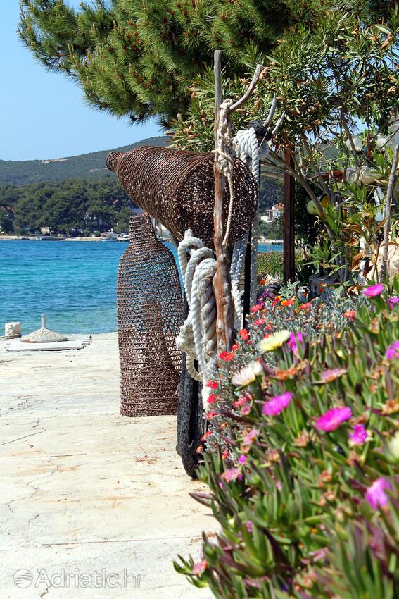 Brgulje auf der Insel  Molat (Sjeverna Dalmacija)