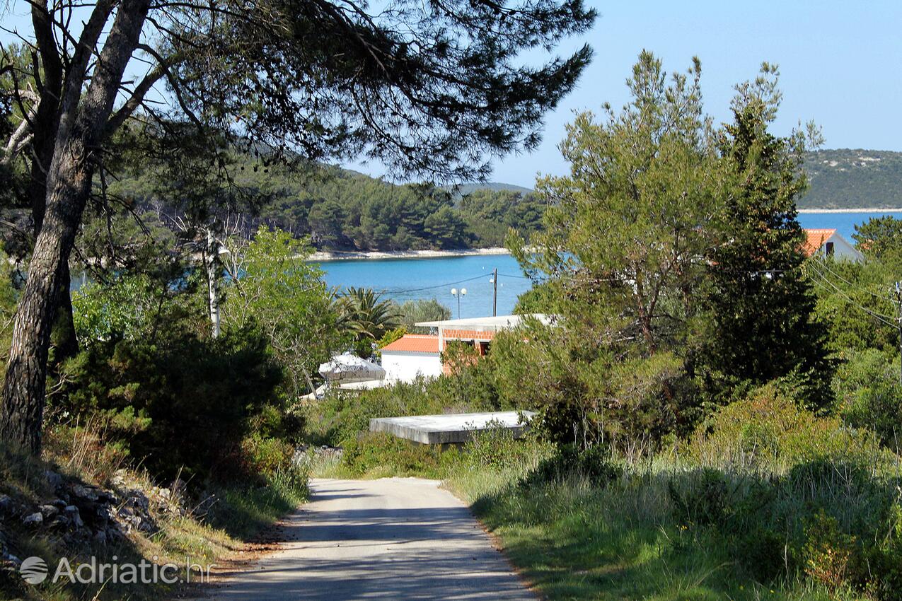 Brgulje auf der Insel  Molat (Sjeverna Dalmacija)