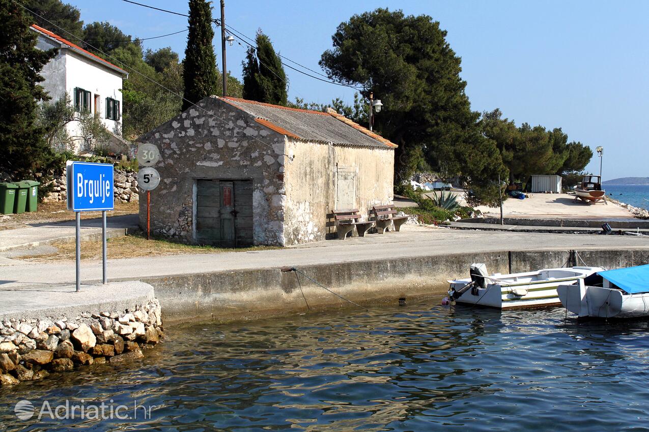 Brgulje auf der Insel  Molat (Sjeverna Dalmacija)
