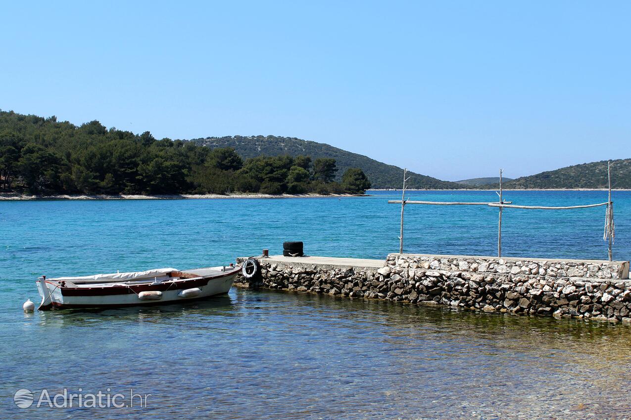 Brgulje auf der Insel  Molat (Sjeverna Dalmacija)