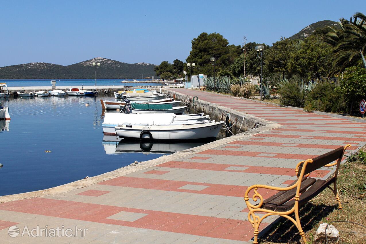 Brgulje auf der Insel  Molat (Sjeverna Dalmacija)
