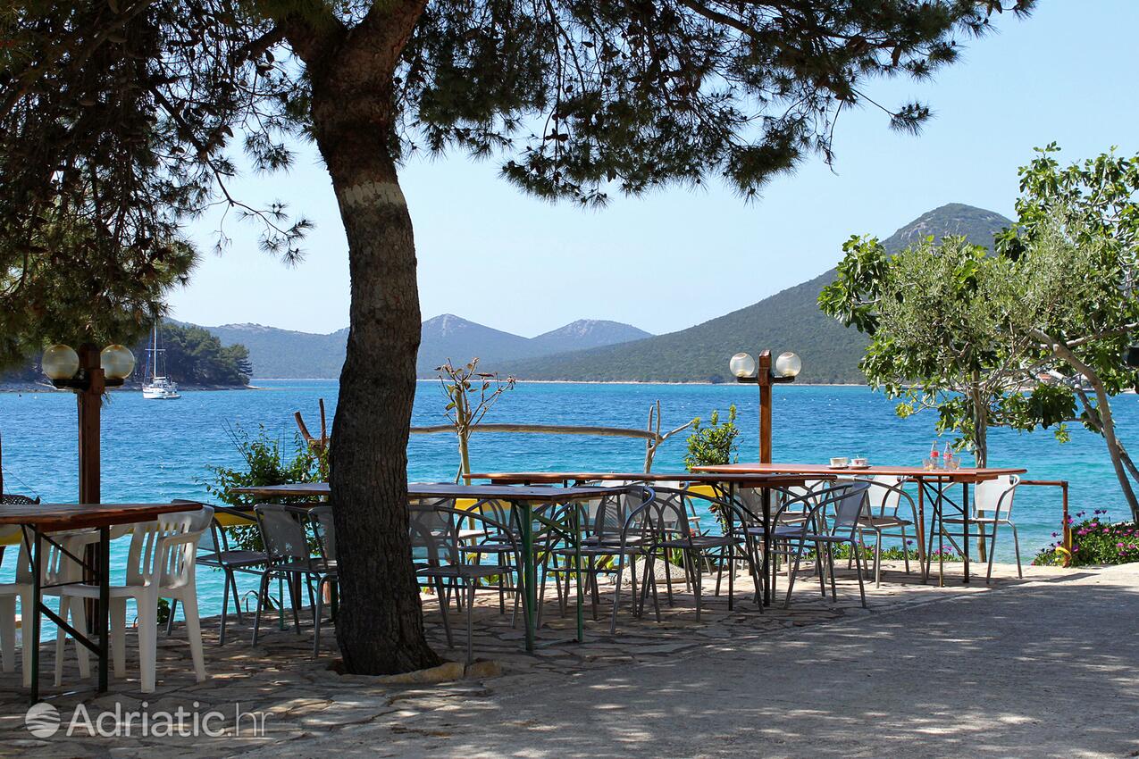 Brgulje auf der Insel  Molat (Sjeverna Dalmacija)