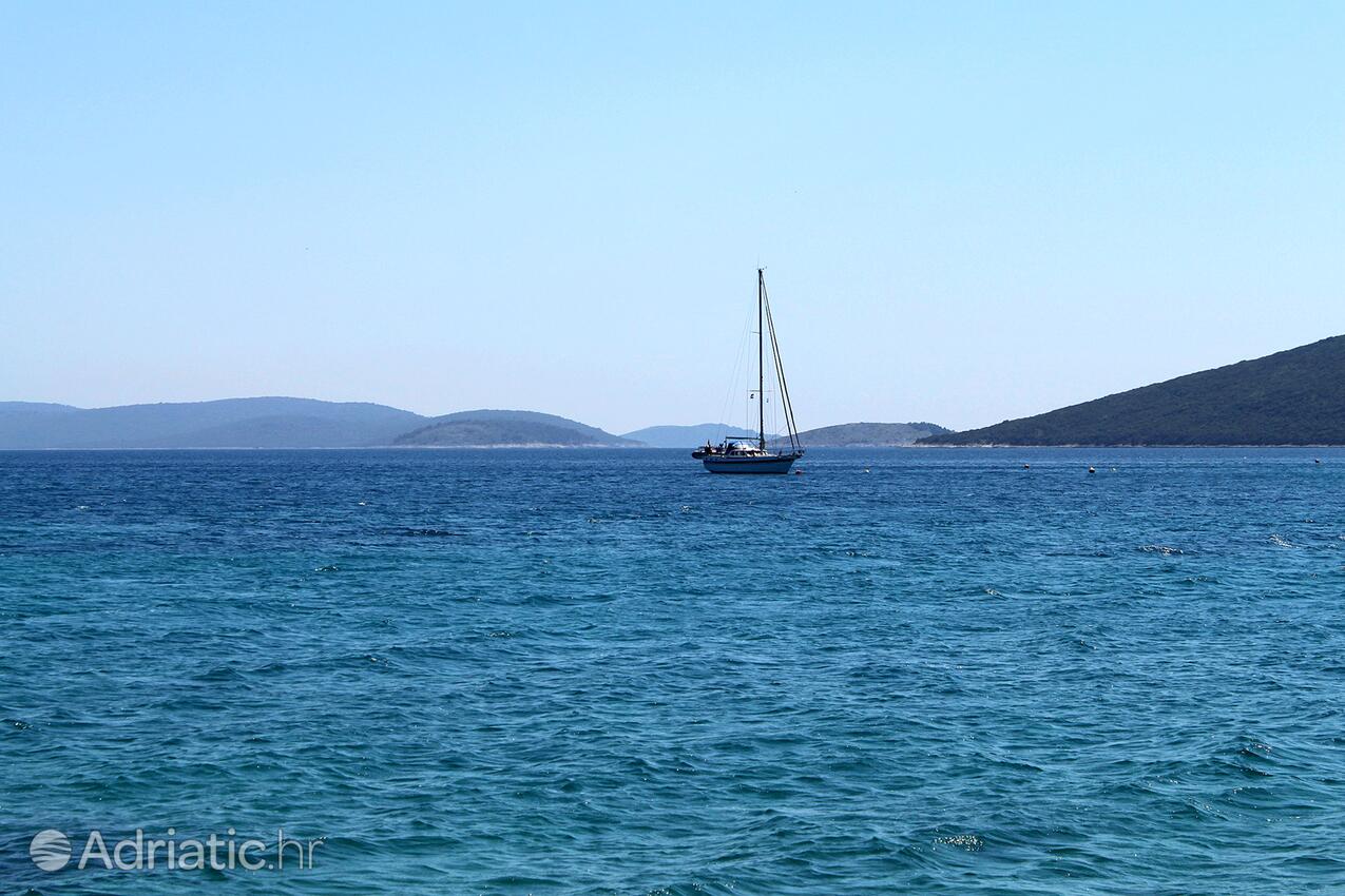 Brgulje auf der Insel  Molat (Sjeverna Dalmacija)