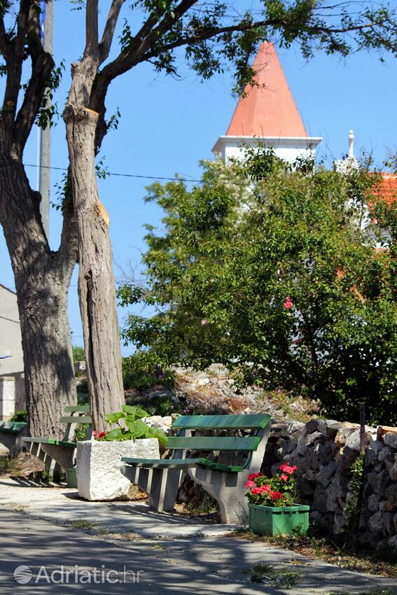 Brgulje auf der Insel  Molat (Sjeverna Dalmacija)