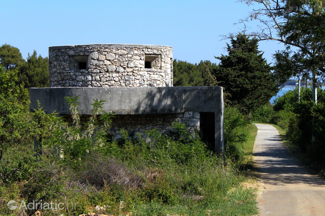 Molat sur l’île Molat (Sjeverna Dalmacija)