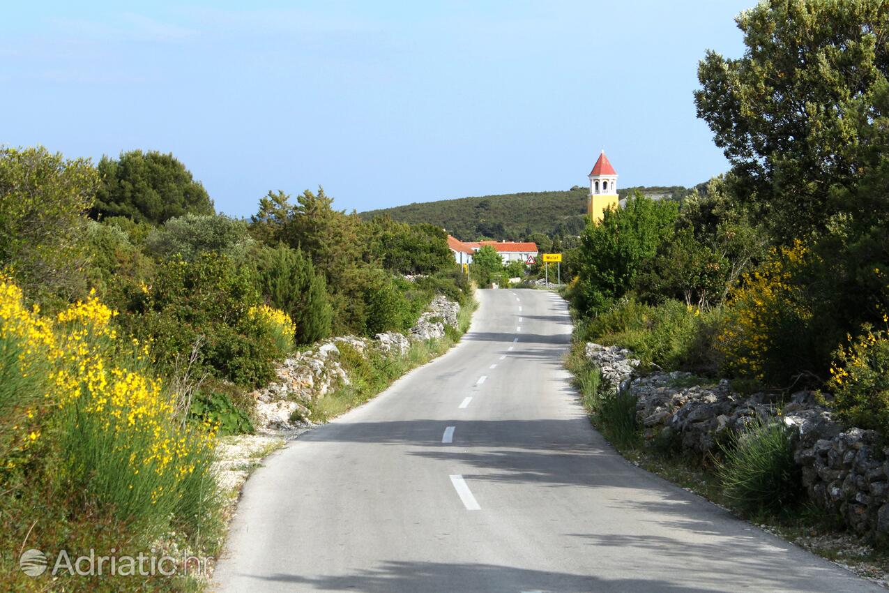 Molat sur l’île Molat (Sjeverna Dalmacija)